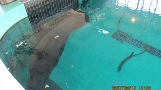 上からも横からも