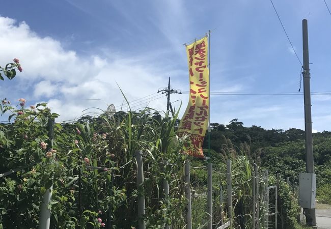 レンタルショップしょう