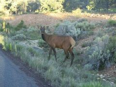 ヤバパイ ロッジ イースト (ヤバパイ ロッジ 新館) 写真