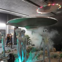 定期的にショーも