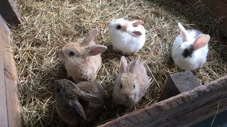 時間がある時には