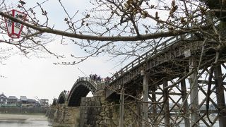 有料だとは知らなかった…