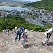 高御位山には珍しい植物がいっぱい