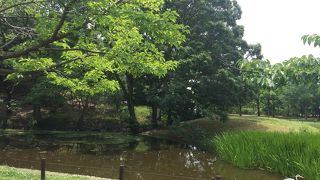 仁徳天皇陵の目の前