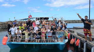 楽しかったイルカツアー❤︎