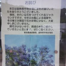 今年の花の満開でない理由を書いた説明書