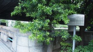 当時は河岸としてにぎわっていた