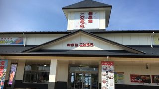 お土産豊富な道の駅
