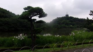 ３Ｋ園にならないでね