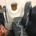 ANAマイルで乗りました