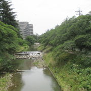 桜の花がなくても、お散歩の人が（少し）います。