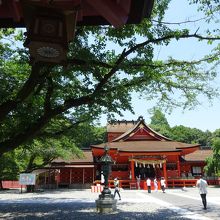 木々の緑と、本殿の朱色、あざやかです。