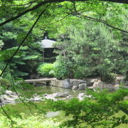 公園と謳っていますが、日本庭園です。