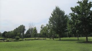 周りの木々以外は草地が主になっています。