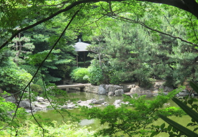 公園と謳っていますが、日本庭園です。