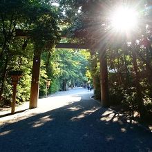 どこもかしこも絵になります