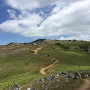 霊仙山に登りました