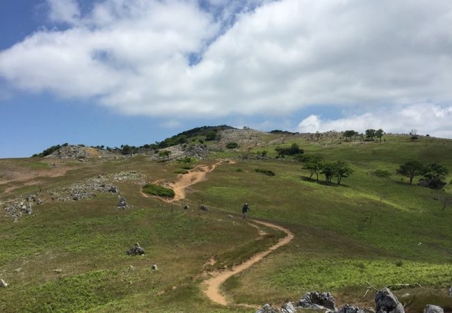 霊仙山に登りました