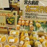 珍しい宮古の野菜や特産品をお土産に？