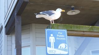観光地がたくさん。