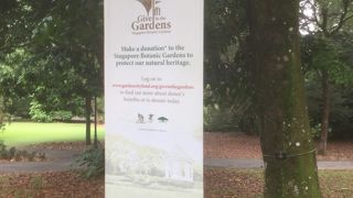 緑がきもちいい