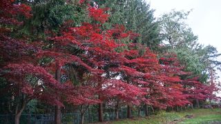 諏訪公園