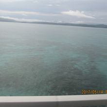 ウミガメに会えるかも