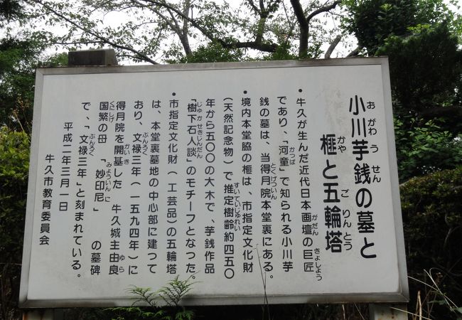 芋銭のお墓や閻魔像があります。