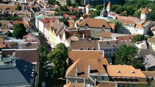 ここを登らないとタリンは終わらない