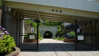 1年ぶりにトンネルをくぐってみた。