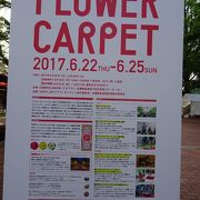 SAPPORO　FLOWER　CARPET　2017