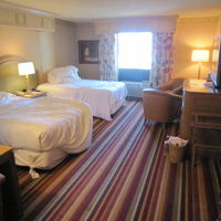 昼間はストリートから流れるロックでうるさいです。