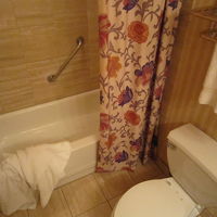 お湯の出は良かったですが、シャワーヘッドは固定。