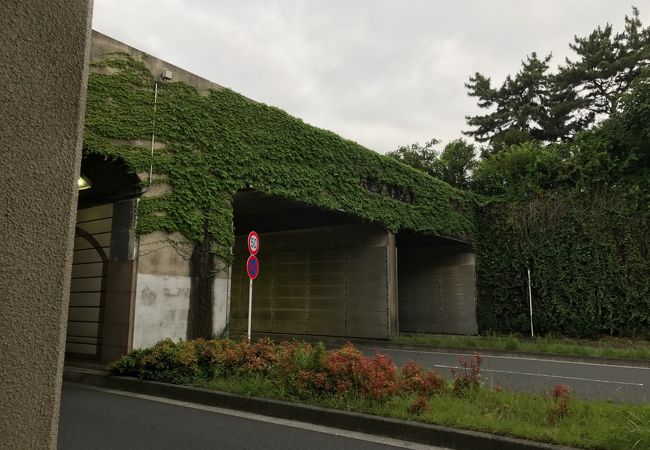 六本木トンネル クチコミ アクセス 営業時間 六本木 フォートラベル 六本木トンネル クチコミ アクセス 営業時間 六本木 フォートラベル
