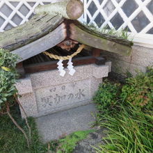 冥加の水があります