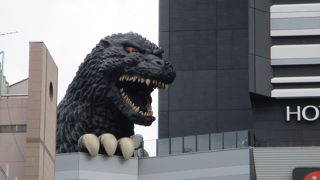 ８階カフェはゴジラを目前で見ることできます。