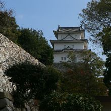 公園内から隅櫓を見る