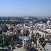 ヒラルダの塔から眺めたセビーリャの街