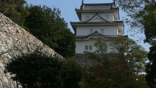 駅より見える隅櫓