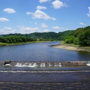 街の人たちが大事にしてきた桜並木