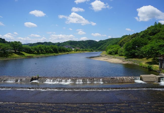 街の人たちが大事にしてきた桜並木