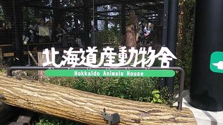 北海道ならではの動物を観察することが出来ます