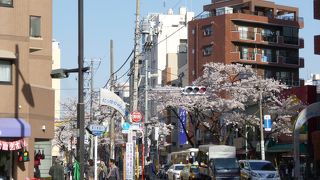 各種生地の見本市？？？？？