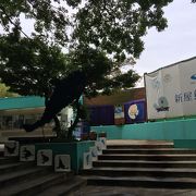 新屋島水族館　ローカルな雰囲気