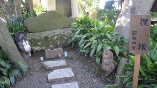 狸ばやしの證誠寺です