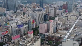 入場無料  杜の都仙台の摩天楼