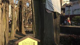 スラリとした阿弥陀如来像