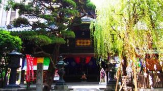 京都のおへそ、生花池坊発祥の地