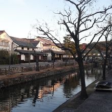 たくさんの木々は主に葉がなく