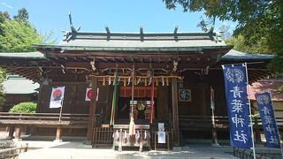 青葉溢れるＧＷに伺いました